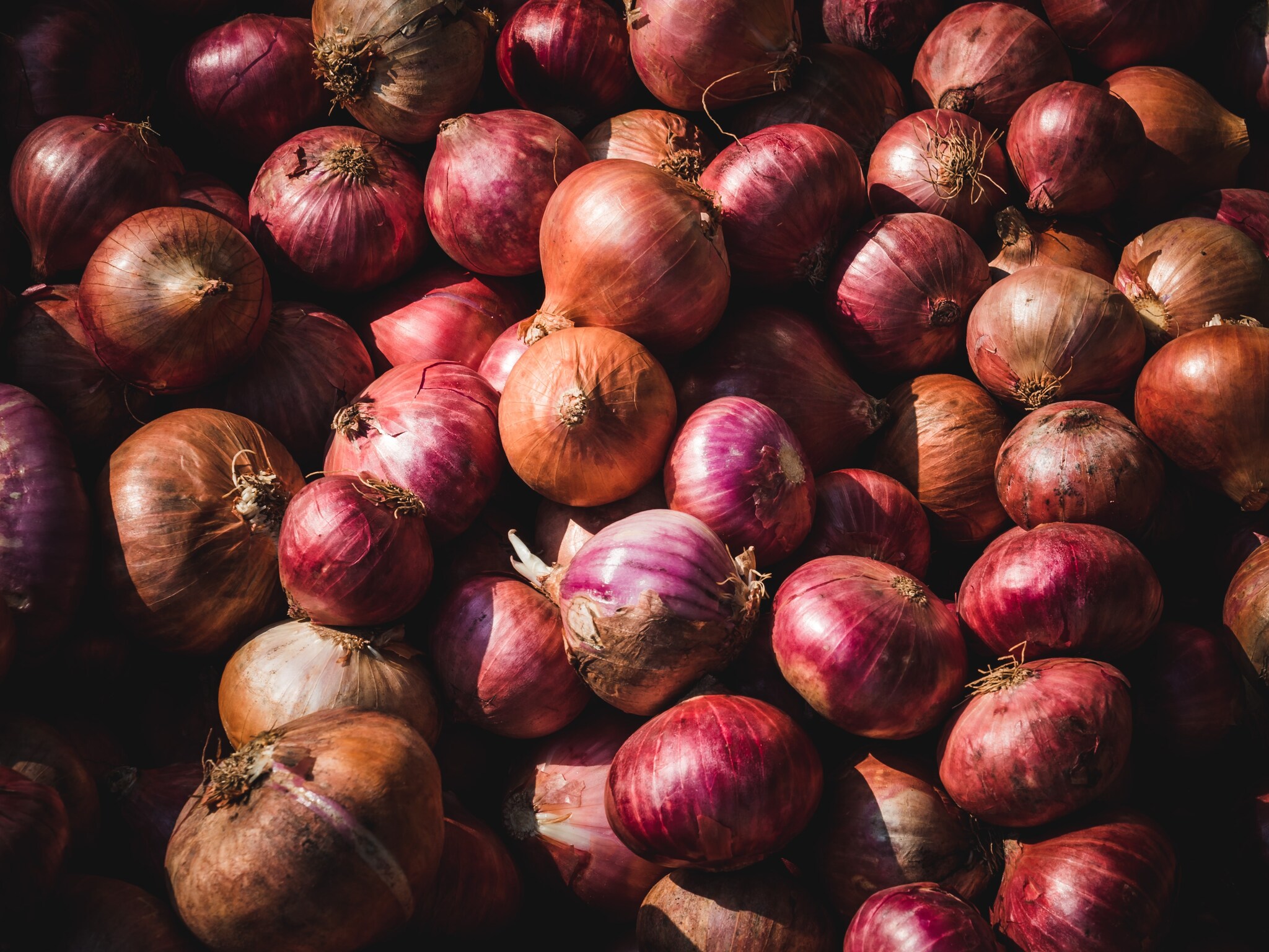 onion prices, onion, onion price in delhi